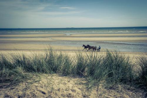 70eme anniversaire du débarquement, D Day